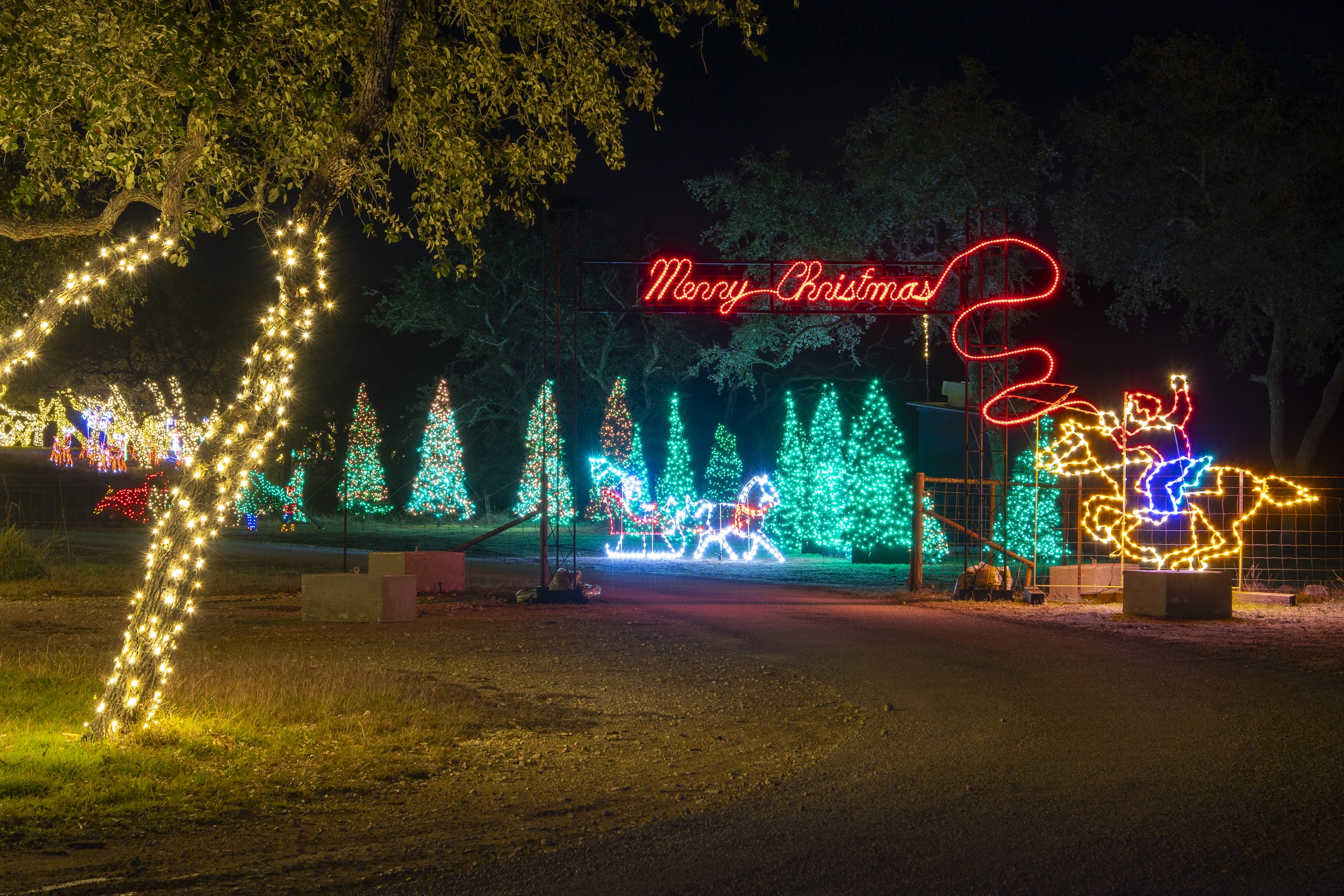 Christmas light scene with trees, horse rider spelling out Merry Christmas with rope lights