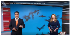 KSAT: Inside the Batnado!