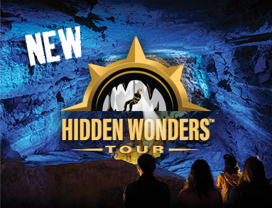Hidden_Wonders_Tour-Web_Banner_383x294_updated_logo