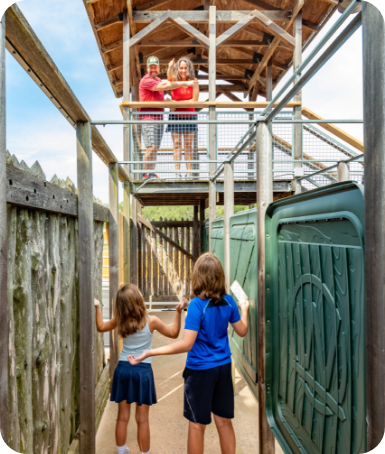 Description of Image 1