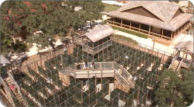 Description of Image 2