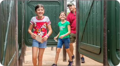 Description of Image 3