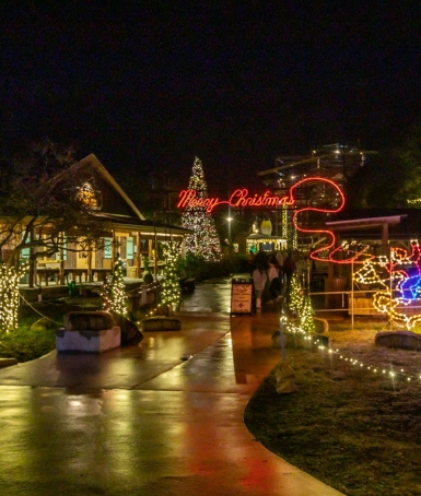 Description of Image 1