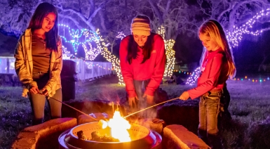 Description of Image 2