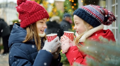 Description of Image 3