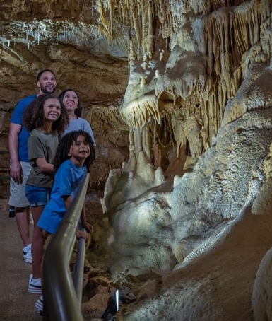 Description of Image 1