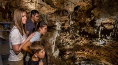 Description of Image 3