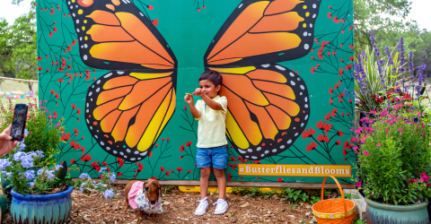 Music, Wildflowers & Family Fun – Spring Fever Fest Begins March 28th