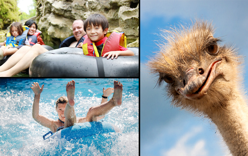 Blog Placeholder