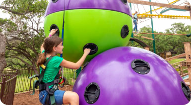 Description of Image 2