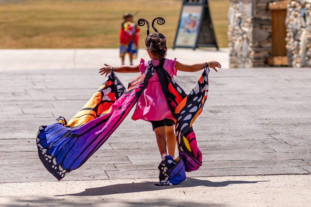 Child in butterfly wings