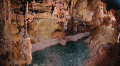 Description of Image 3